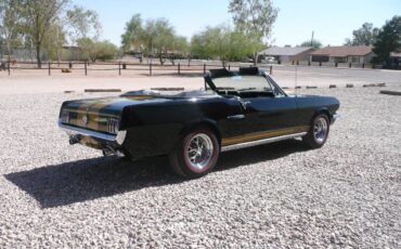 Ford-mustang-gt350h-1966-black-3