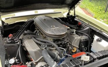 Ford-mustang-shelby-gt500-cobra-1967-green-12