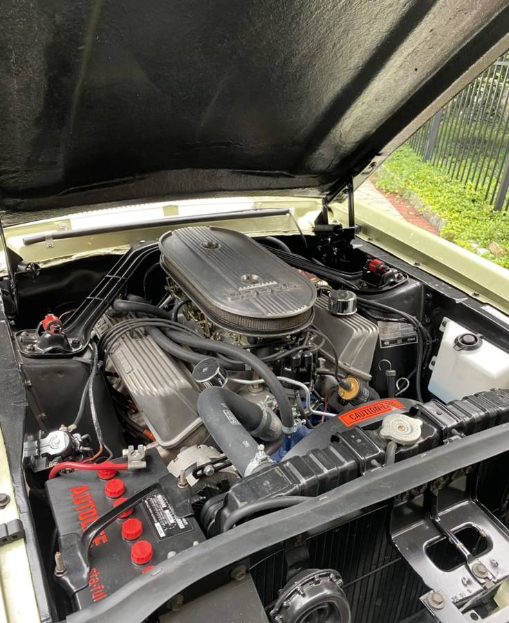 Ford-mustang-shelby-gt500-cobra-1967-green-12