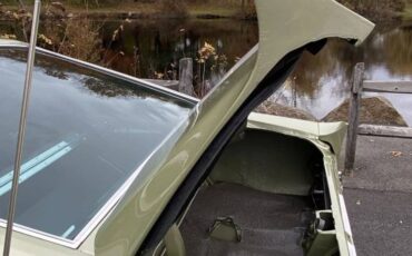 Ford-mustang-shelby-gt500-cobra-1967-green-14