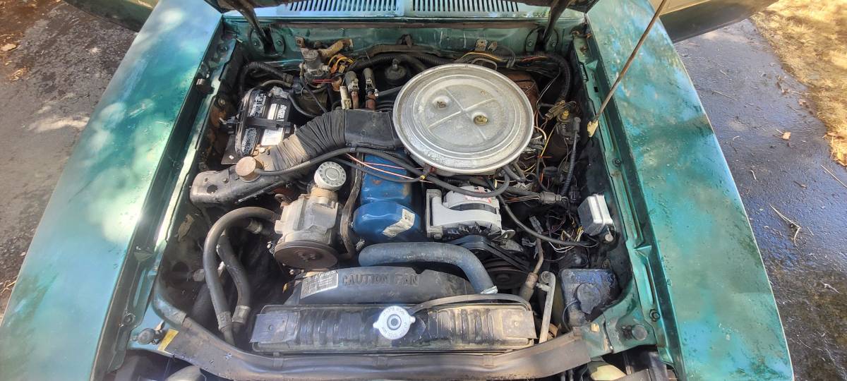Ford-pinto-1979-green-4