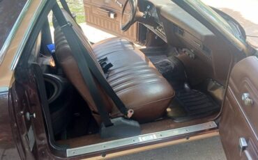 Ford-ranchereo-1978-brown-9