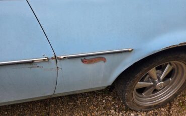 Ford-ranchero-1973-blue-1