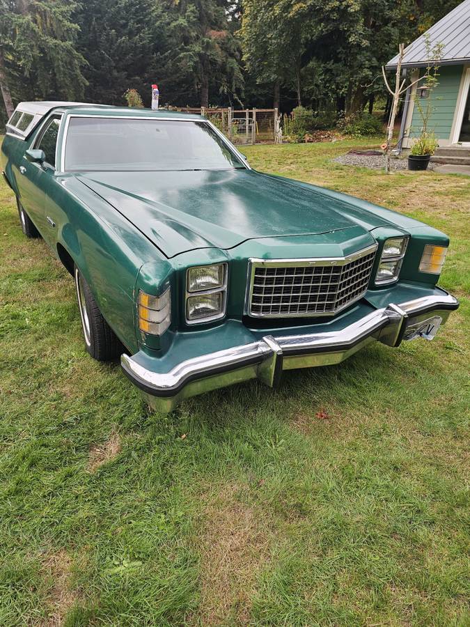 Ford-ranchero-gt-1979-green-20