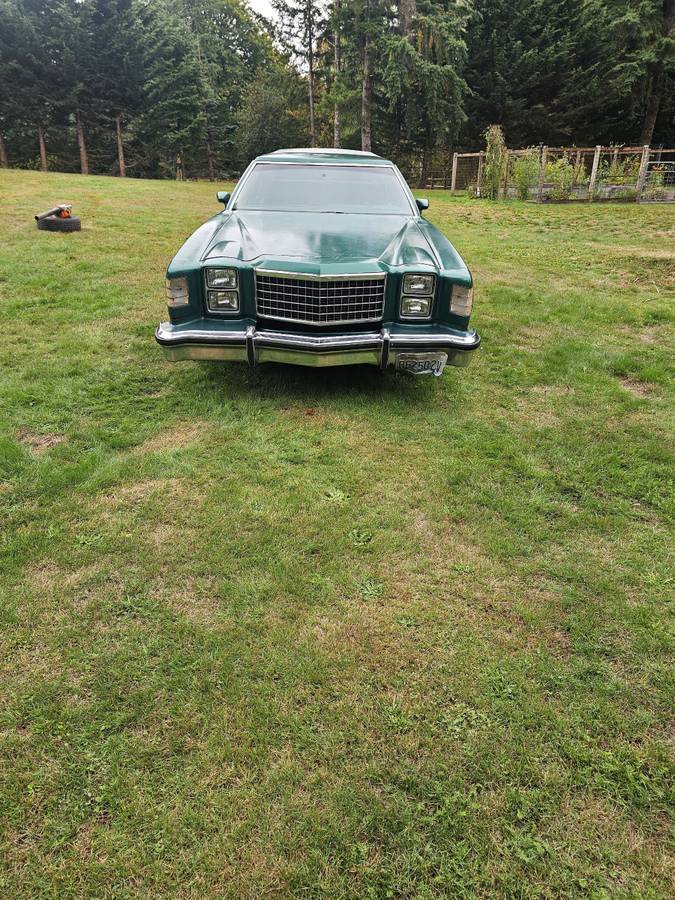 Ford-ranchero-gt-1979-green-7