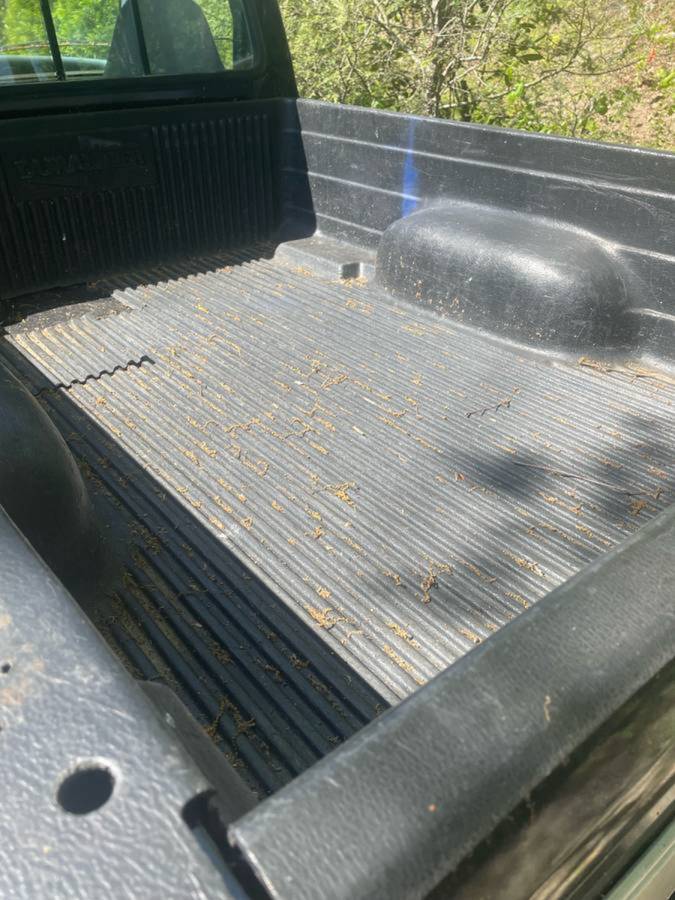 Ford-ranger-1991-blue-3