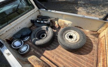 Ford-ranger-f250-5-point-l-engine-1979-11