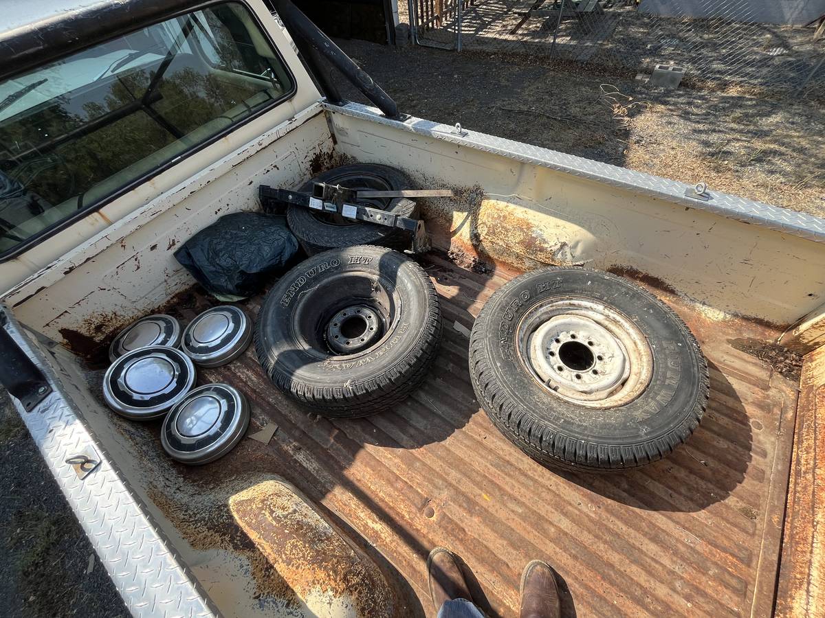 Ford-ranger-f250-5-point-l-engine-1979-14