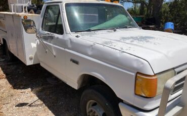 Ford-superduty-7.3-idi-diesel-1991-white-11