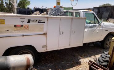 Ford-superduty-7.3-idi-diesel-1991-white-12