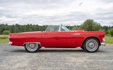Ford-thunderbird-1955-red-13