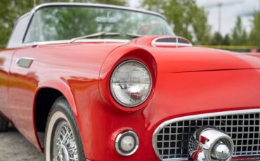 Ford-thunderbird-1955-red-3