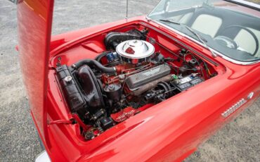 Ford-thunderbird-1955-red-6