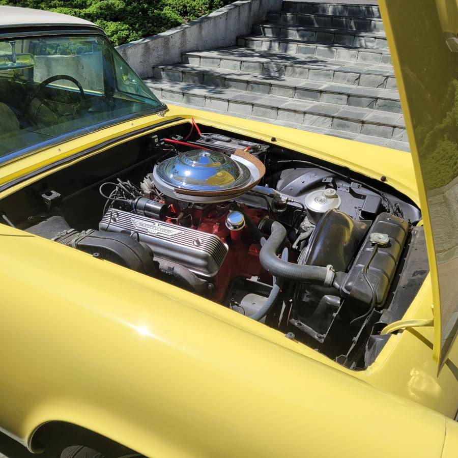 Ford-thunderbird-1956-yellow-14