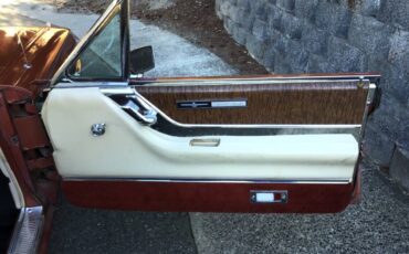 Ford-thunderbird-1965-brown-2