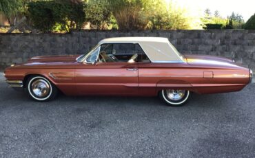 Ford-thunderbird-1965-brown-5