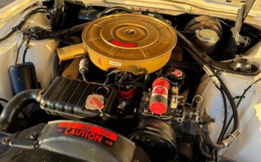Ford-thunderbird-1965-white-125