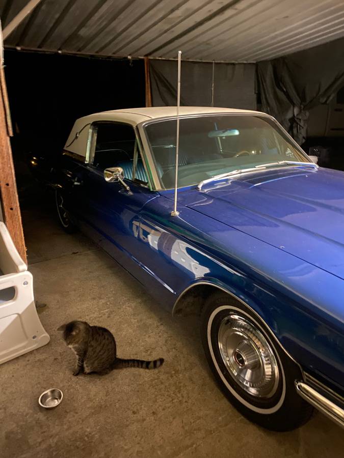 Ford-thunderbird-1966-blue-6