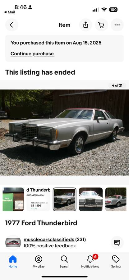 Ford-thunderbird-1977-grey-9