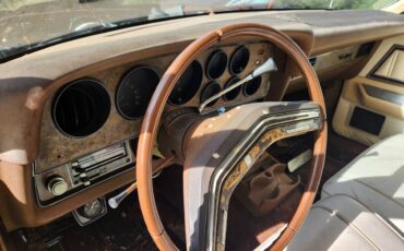 Ford-thunderbird-1978-11