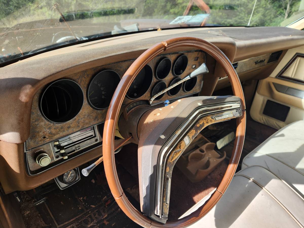 Ford-thunderbird-1978-11