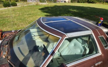 Ford-thunderbird-1978-8