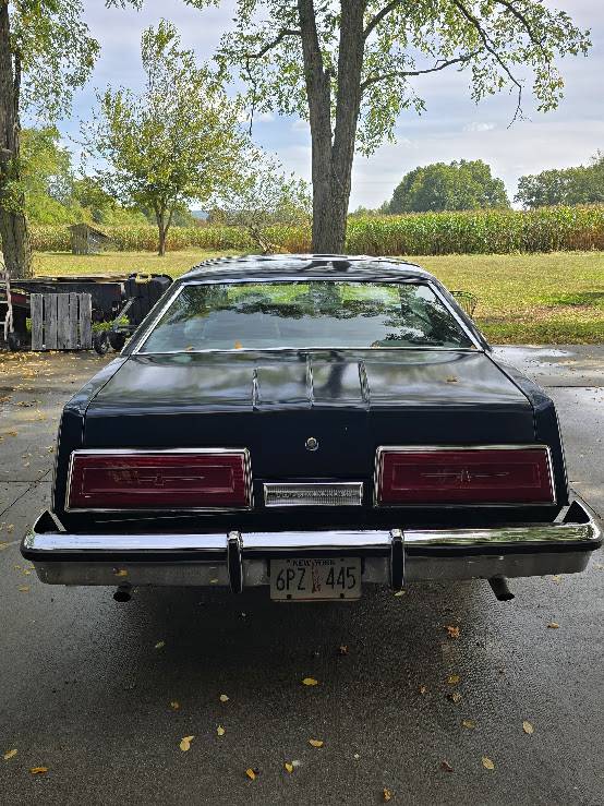 Ford-thunderbird-1979-2