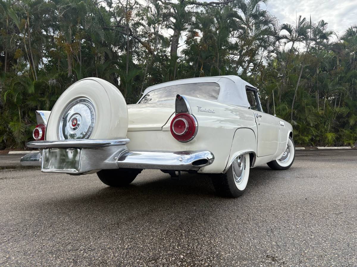 Ford-thunderbird-convertible-1956-white-14