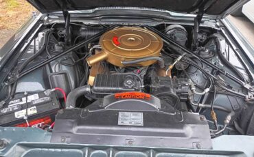 Ford-thunderbird-convertible-1965-green-6