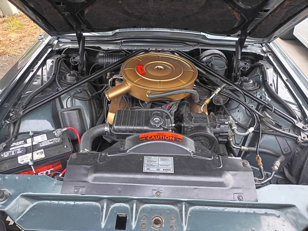 Ford-thunderbird-convertible-1965-green-6
