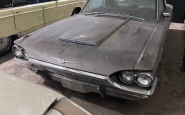 Ford-thunderbird-coupe-1965-grey-6