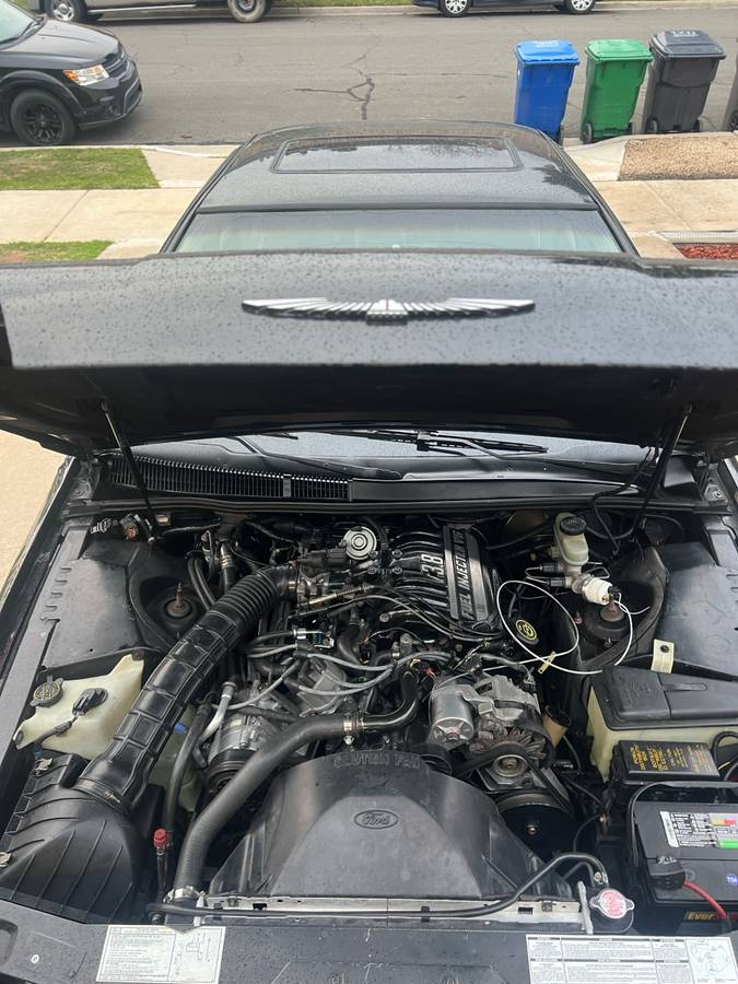 Ford-thunderbird-lx-1989-black-5