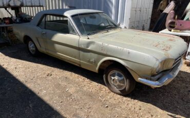 Fotd-mustang-1965-2