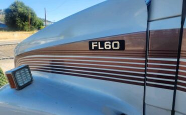 Freightliner-cascadia-125quot-sleeper-cab-diesel-1994-custom-7
