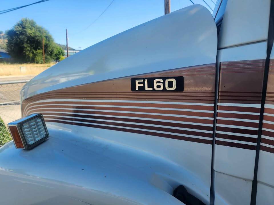 Freightliner-cascadia-125quot-sleeper-cab-diesel-1994-custom-7