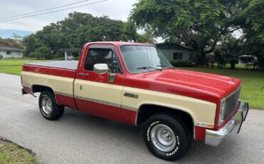 GMC-Sierra-1500-1986-10
