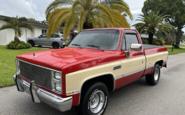 GMC-Sierra-1500-1986-11
