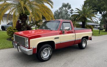 GMC-Sierra-1500-1986-3
