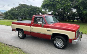 GMC-Sierra-1500-1986-8