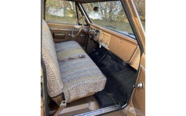 Gmc-12-ton-pickup-1969-SADDLE-SADDLE-9