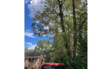 Gmc-1500-1969-Red-Black-and-Red-24