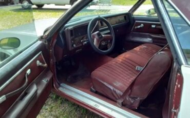 Gmc-Other-1981-White-2