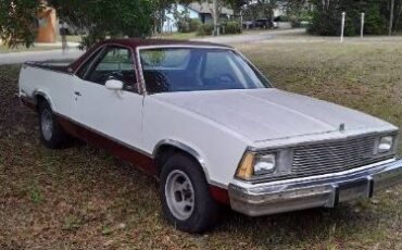 Gmc-Other-1981-White-3