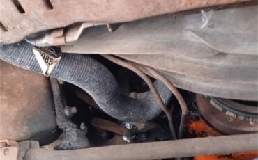 Gmc-Sprint-1975-White-and-burgundy-Burgundy-82