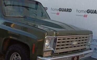Gmc-c25-sierra-classic-1976-green-2