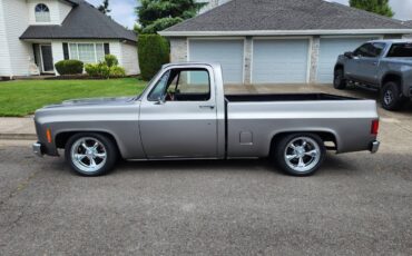 Gmc-chevrolet-1980-grey
