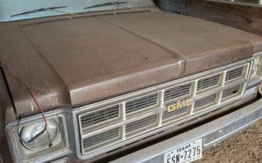 Gmc-pu-1976-brown-4