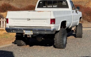 Gmc-sierra-1500-1975-white-1