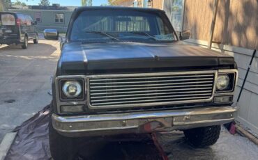 Gmc-sierra-1500-1979-black-5