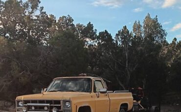 Gmc-sierra-1500-1979-yellow-1
